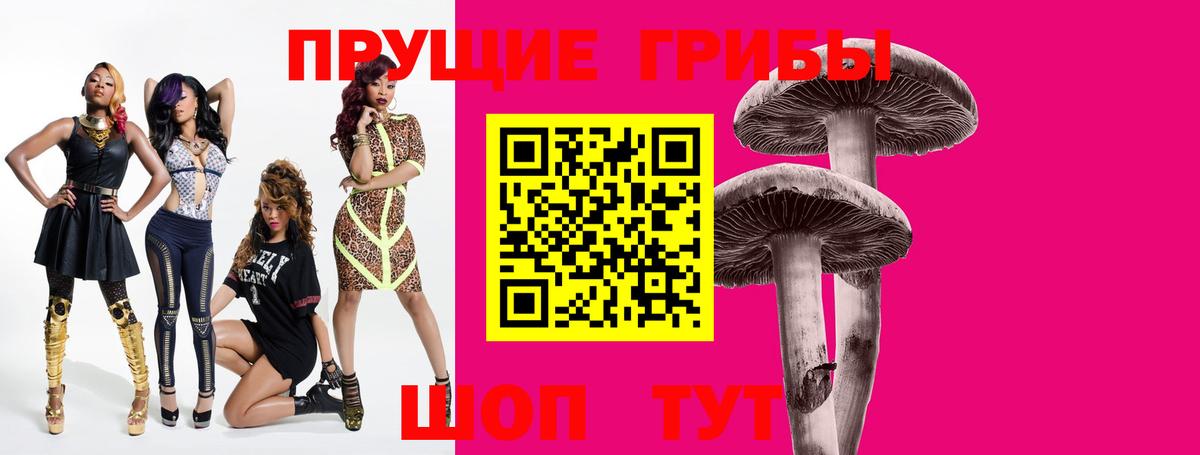 Чебаркуль  Псилоцибиновые грибы Psilocybine cubensis  Вход с VPN  Псилоцибиновые грибы прущие грибы 