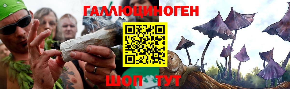 Галлюциногенные грибы Magic Shrooms Чебаркуль
